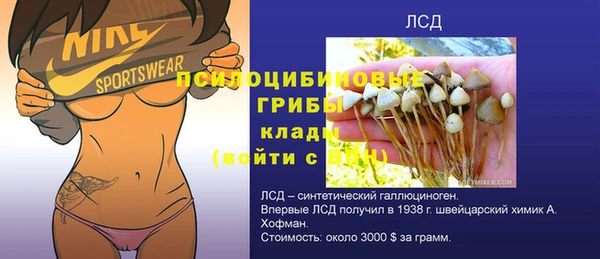 индика Корсаков